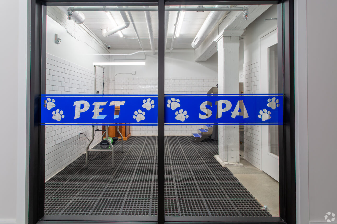 Pet Spa